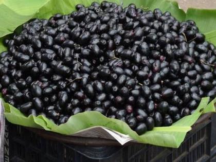 jamun 2