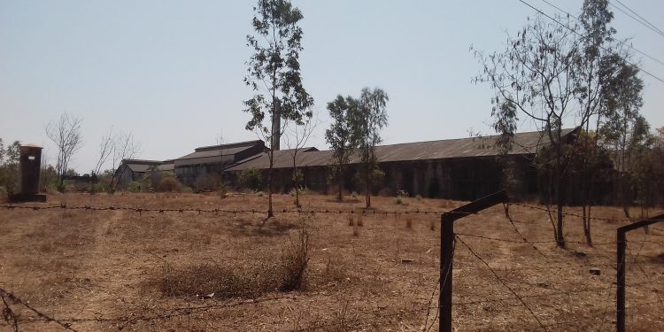 Nashik Sugar Factory 2