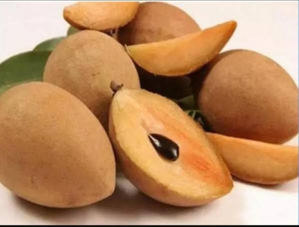 chikoo e1652108537358