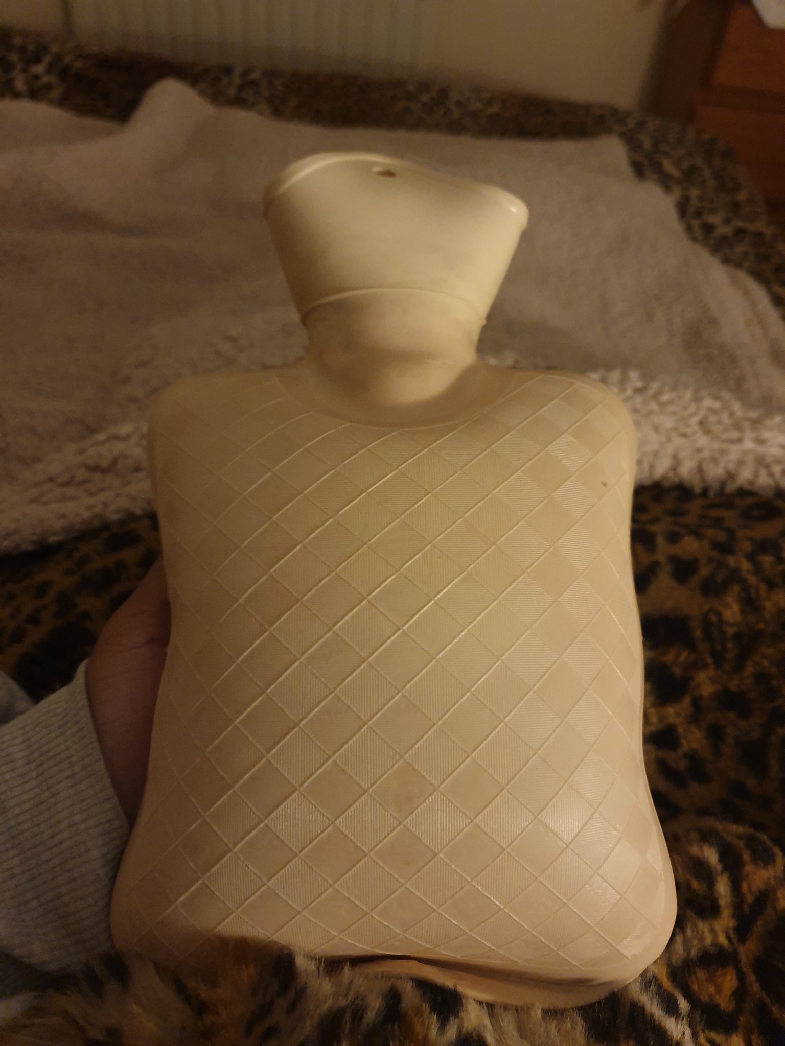 hot water bag