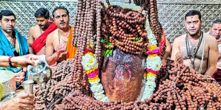 rudraksha