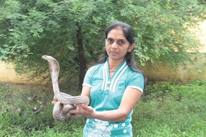 vanita borade