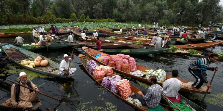 dal lake market