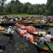 dal lake market