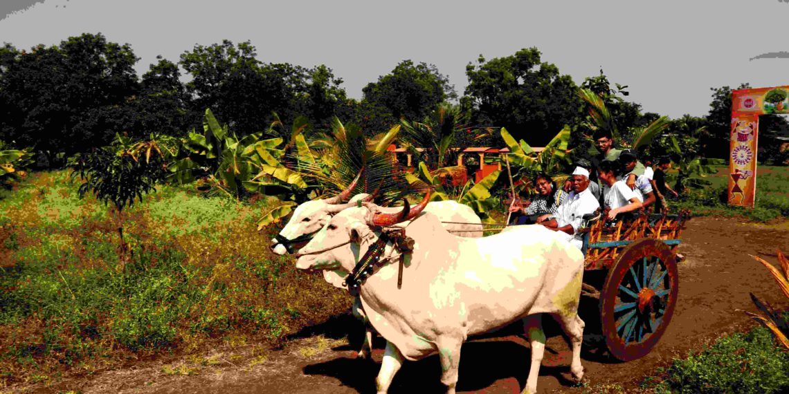 agri tourism