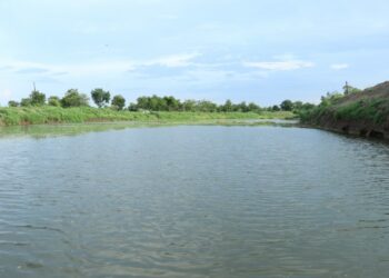 jalsandharan irrigation lake e1654529727810