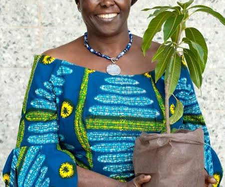 wangari mathai