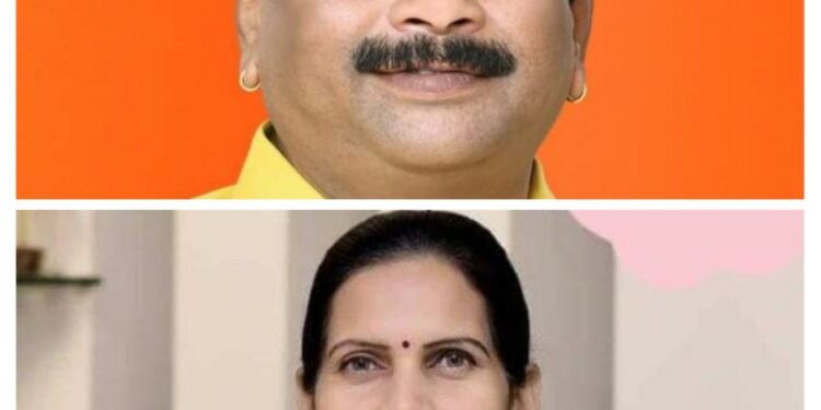 bharti vs nitin pawar e1655290129366