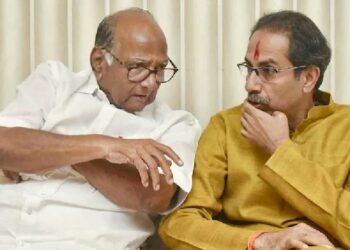 uddhav thackeray sharad pawar.1jpg