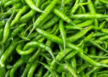 Green chilly