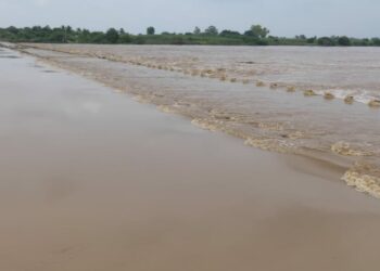 bhima river flood e1657538799209