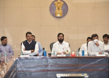 cm dcm meet e1656689251668