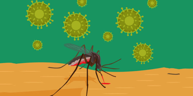 zika virus e1657729009682