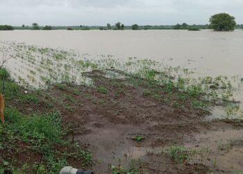 Flood Crop Loss
