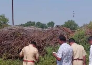 IMG 20221109 WA0073 1 e1667971986476