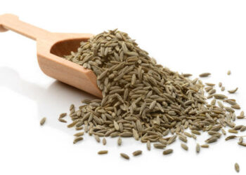 Cumin Seeds