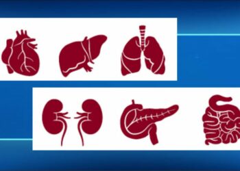 Organ Donation
