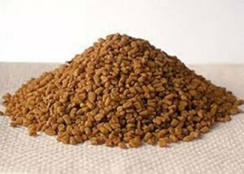 Methi