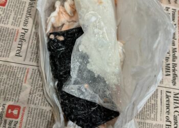 WhatsAppImage2023 10 13at6.55.47PMA5EZ