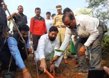 37522e58 2461 44bc 9cbd dd6237d4783d 1140x570 1 e1699107928144