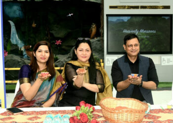 unnamed 2023 11 10T184057.917