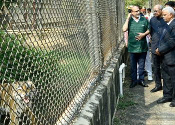 gorewada gov2 1000x570 1 e1702468804939