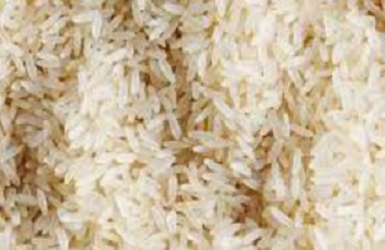 rice 1