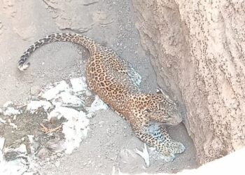 IMG 20240323 WA0296 e1711192788898