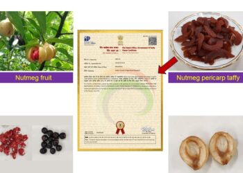 IMG 20240331 WA0173 1 e1711866543737