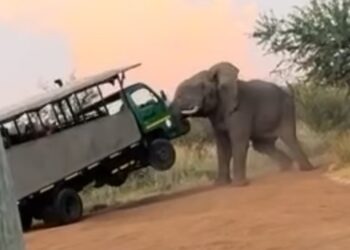 Screenshot 20240322 152124 Instagram