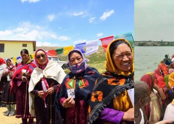 Software: Microsoft Office