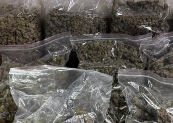 DRI1U0G3 e1719947494106