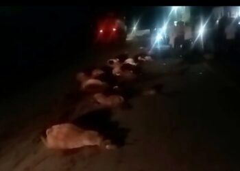 Screenshot 20240709 232621 WhatsApp