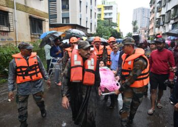 WhatsAppImage2024 07 25at3.30.08PMZWVL