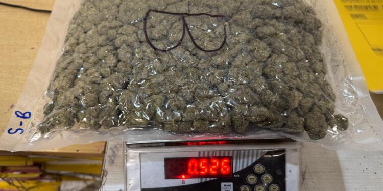 Hydroponic4U163